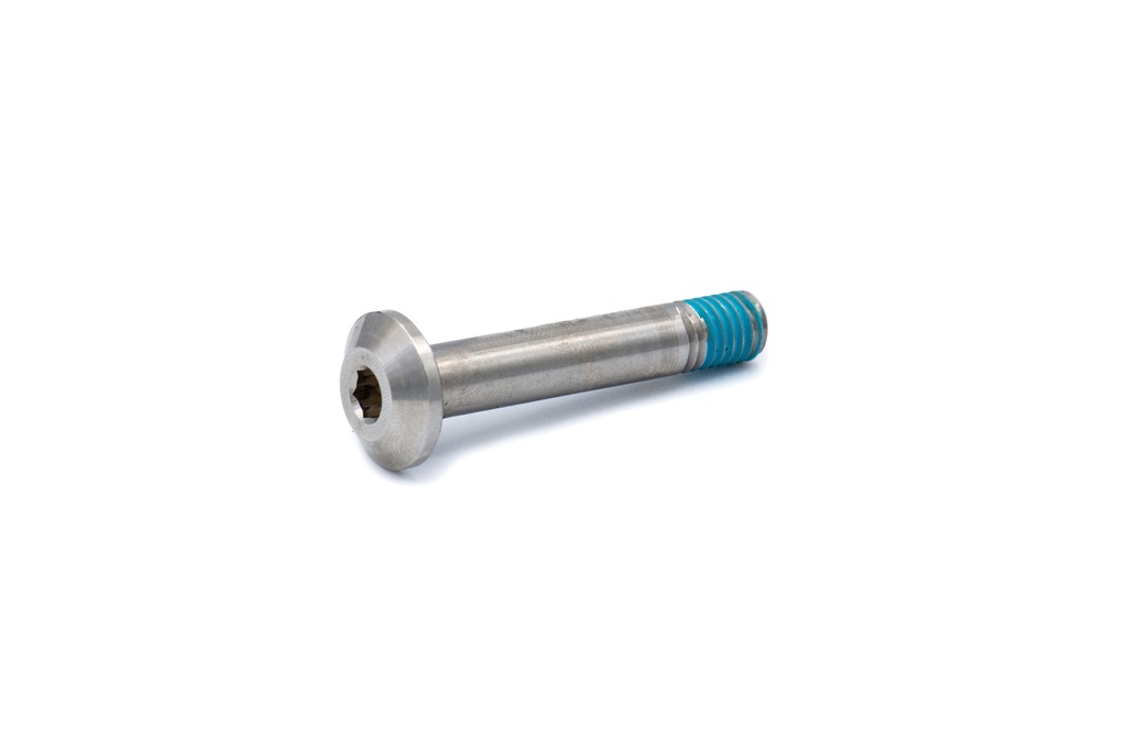 [003.007.0004] Shock Screw 8x1.25x45
